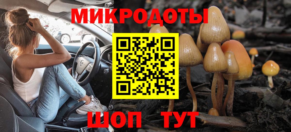 Псилоцибиновые грибы Cubensis Кириши