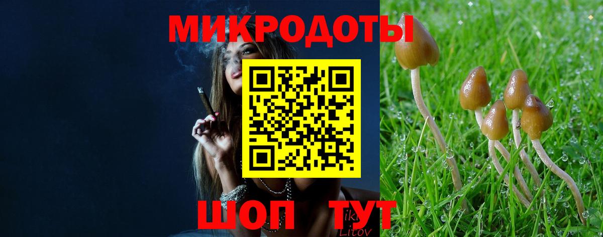 Кириши  Галлюциногенные грибы Magic Shrooms  Вход с VPN 