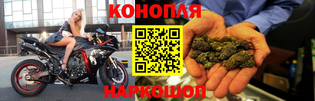 Бошки марихуана семена  Вход с VPN  Кириши  Бошки марихуана Amnesia  Бошки Шишки VHQ  Бошки Шишки THC 21% 